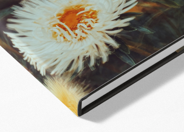 Dust Jacket Hardcover